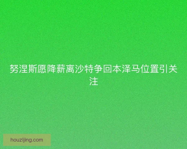 努涅斯愿降薪离沙特争回本泽马位置引关注 努涅斯愿降薪离沙特争回本泽马位置引关注