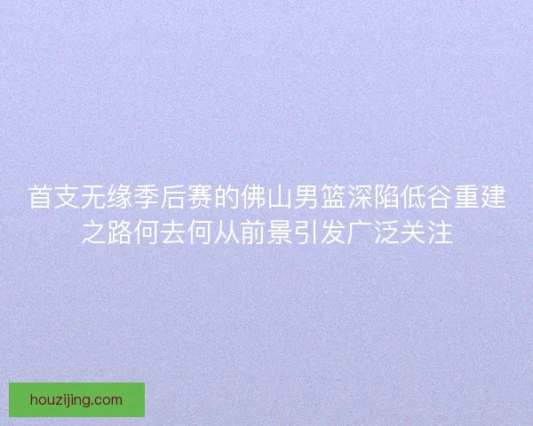 首支无缘季后赛的佛山男篮深陷低谷重建之路何去何从前景引发广泛关注