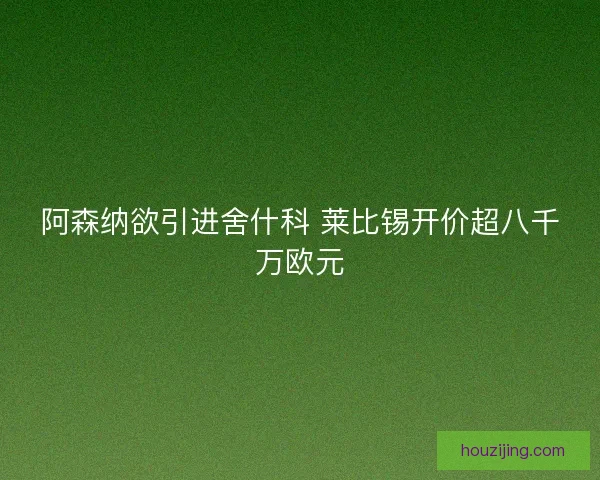 阿森纳欲引进舍什科 莱比锡开价超八千万欧元